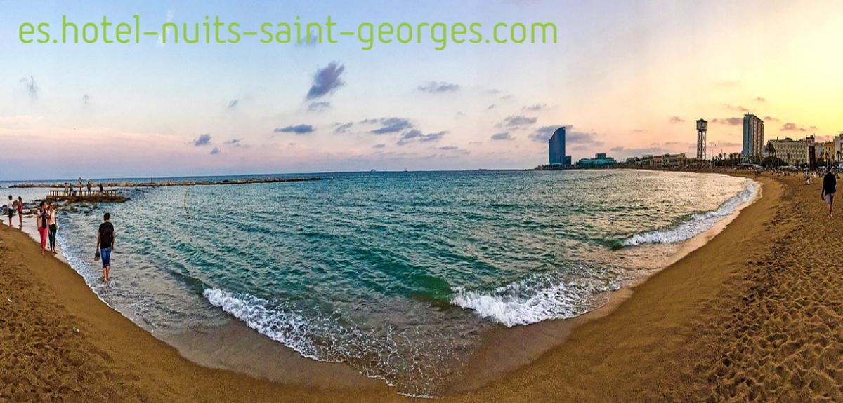 es.hotel-nuits-saint-georges.com